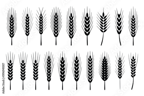 Wheat Ears Silhouette Vector Illustration