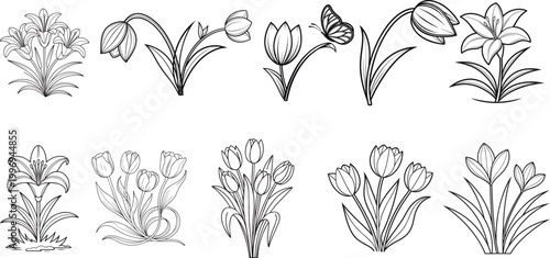 Colouring book style black and white Tulip Flower Set