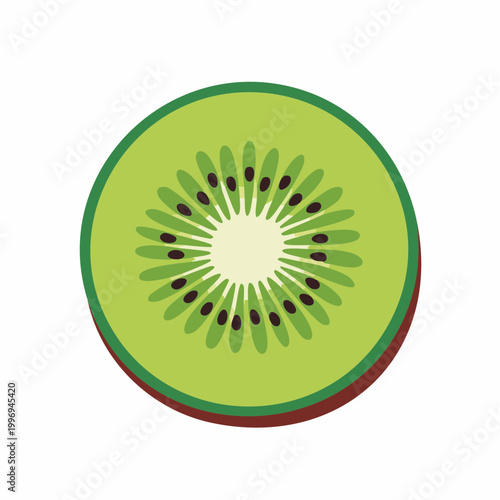 Slice of Kiwi Fruit