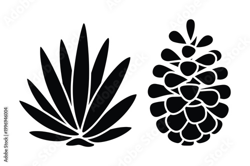 Black Silhouette of a Succulent Plant and a Pinecone on White Background