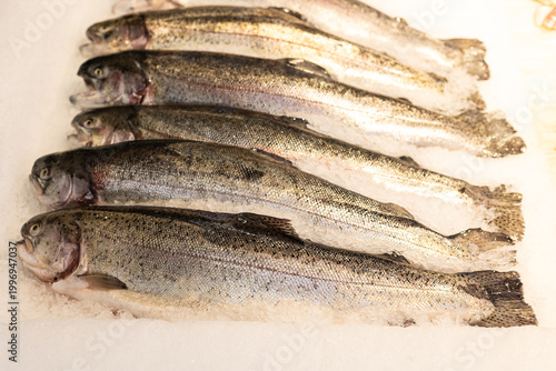 River trout fresh fish on ice in a food market