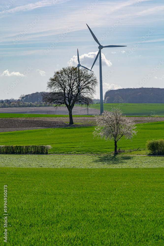 Obraz premium wind turbines farm