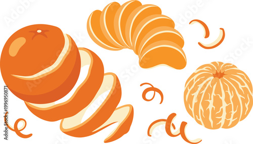 Canvastavla Peeled Orange Vector Illustration Featuring Spiral Peel, Segmented Citrus Slices