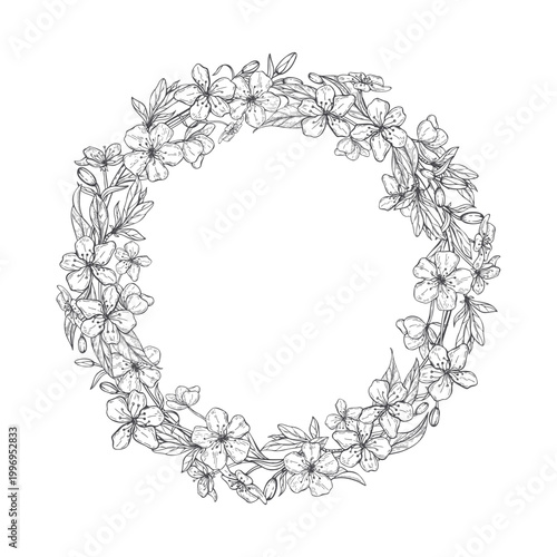 Hand drawn pear blossom wreath vector illustration in sketch style. Flowering fruit branches round frame with copy space for text. Spring template for invitation card design, stationery decor