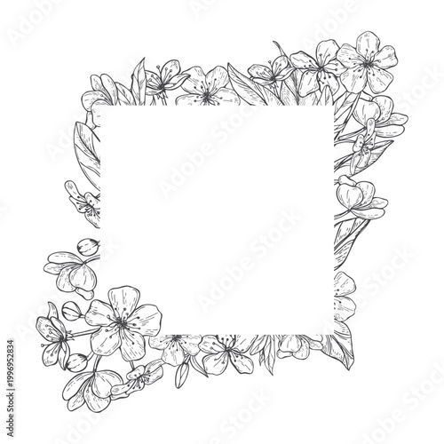 Cherry blossom flower frame vector isolated illustration. Square border with hand drawn blooming tree branch. Botanical decorative element for invitation, greeting card, wedding decor
