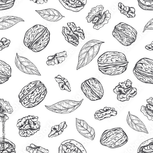Walnut seamless pattern vector line ink illustration. Nut pods in shell, kernel, leaves ornate in sketch style. Food illustration for textile or wrapping paper, grocery shop concept