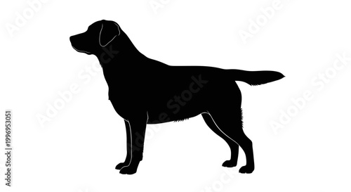 dog silhouette on white background high quality professional