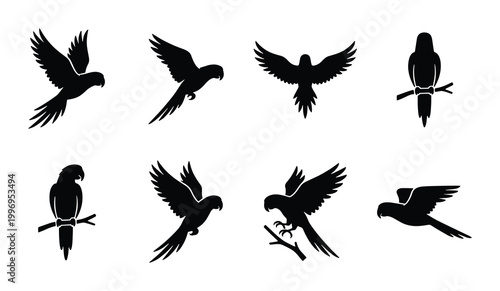 Bild auf Leinwand Parrot Silhouette Collection, Tropical Bird Vector Icons, Avian Wildlife Graphic