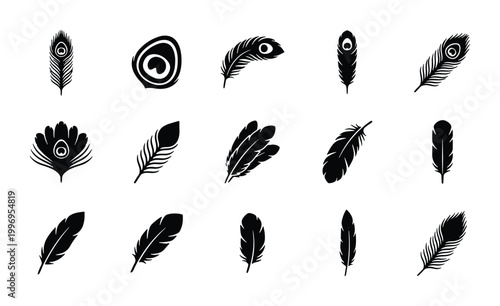 Bild auf Leinwand Elegant Feather Icons Set, Black and White Vector Graphics, Delicate Ornithologi