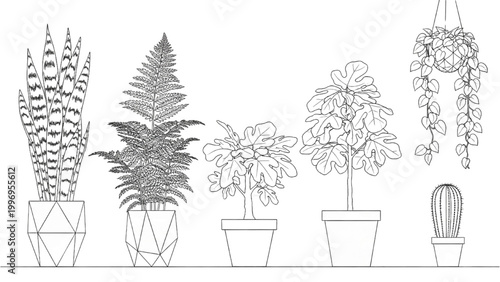 2D AutoCAD drawing of various plants in pots on a shelf indoors