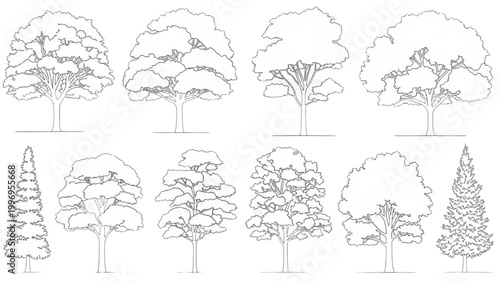 Various 2D AutoCAD tree designs in a landscape illustration