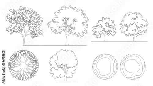 2D AutoCAD designs showcase various tree structures and cross sections
