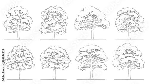 Various 2D AutoCAD tree designs in a single illustration collection