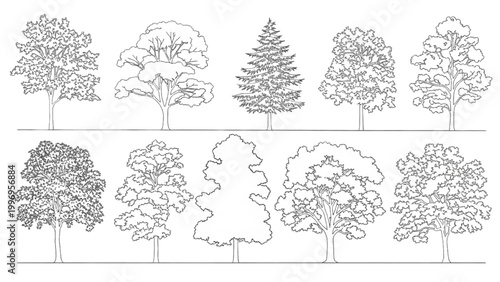 Various trees in 2D AutoCAD illustrations showcase different species and foliage