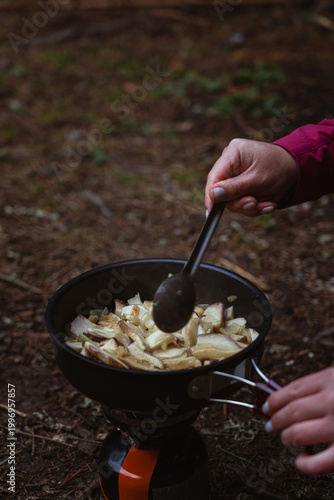 Cooking fresh mushrooms in a pot over an open fire during a camping trip in the woods. Hiking in Carpathian Mountains, Ukraine