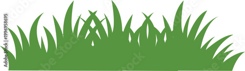 Fresh green grass blades with sharp tips natural texture vector Isolated on transparent background.