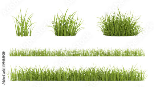 Green grass with fresh young blades growing in sunlight Vector