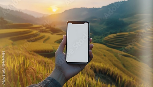 Hand holding blank smartphone in golden rice terrace at sunrise