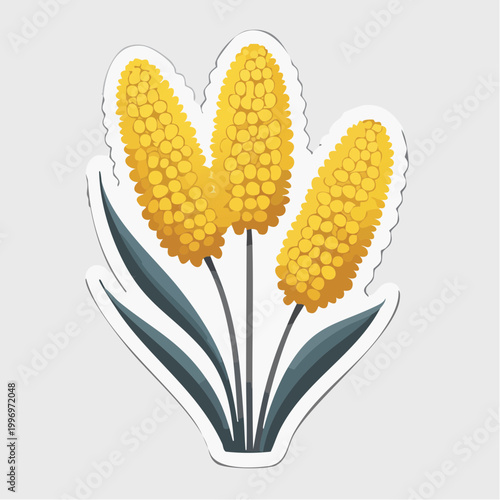 Three Yellow Corn Cobs with Green Leaves