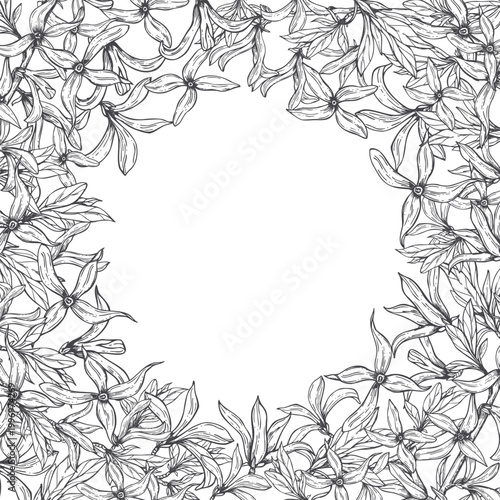Hand drawn blooming forsythia flowers vector isolated frame. Black and white botanical border illustration for greeting card and wedding invitation. Decorative square template with copy space for text