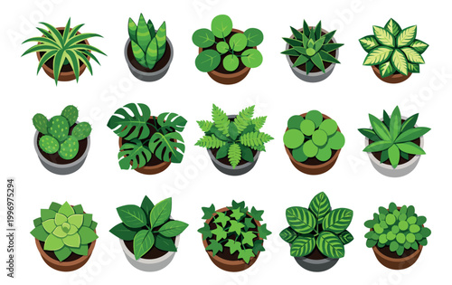 Modern flat design houseplant set featuring various potted plants and succulents for home and office decoration
