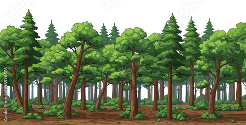 Dense forest landscape with green trees and natural woodland scenery illustrating outdoor environment, lush vegetation, and detailed nature background vector illustration