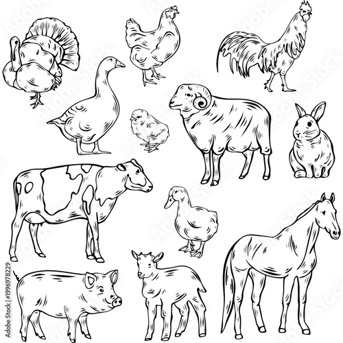 Farm animals set hand drawn sketch for organic food and butchery shop. Vector illustration
