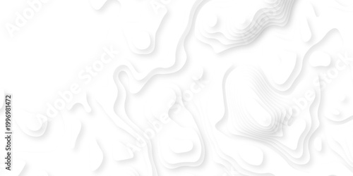 Abstract white paper cut background with lines. Background of the topographic map. White wave paper curved reliefs abstract background. Realistic papercut decoration textured with wavy layers.