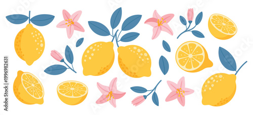 hand drawn lemon citrus fruits with leaves and flowers, vector illustration in blue and yellow colors, Italian Amalfi coast summer style, Mediterranean botanical design for patterns, posters, cards.