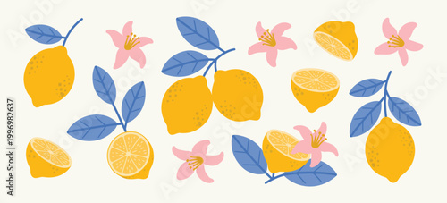 hand drawn lemon citrus fruits with leaves and flowers, vector illustration in blue and yellow colors, Italian Amalfi coast summer style, Mediterranean botanical design for patterns, posters, cards.