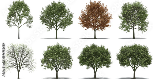 Realistic trees set with different species and seasonal foliage illustrating botanical diversity, landscape elements, and natural environment vector illustration collection