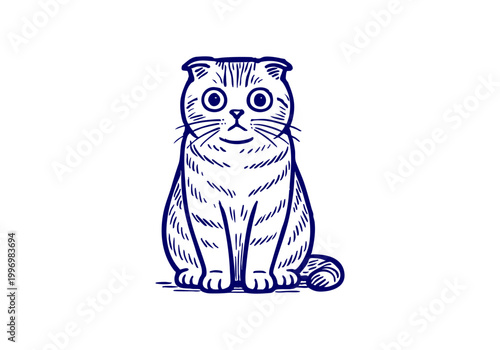 Scottish Fold Cat hand drawn simple sketch vector illustration