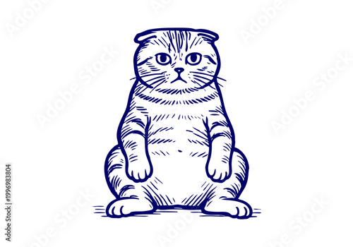 Scottish Fold Cat hand drawn simple sketch vector illustration