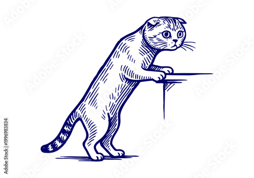 Scottish Fold Cat hand drawn simple sketch vector illustration