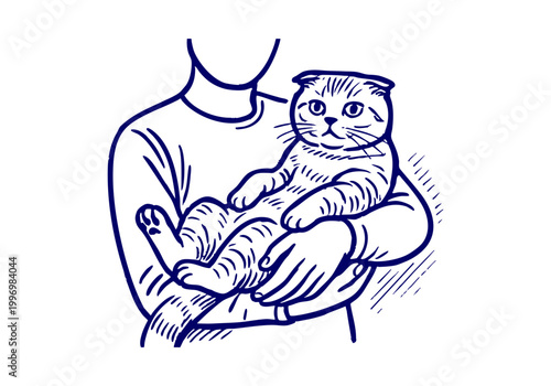 Scottish Fold Cat hand drawn simple sketch vector illustration