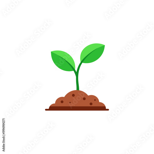 A small green plant growing in a pile of brown soil with two leaves