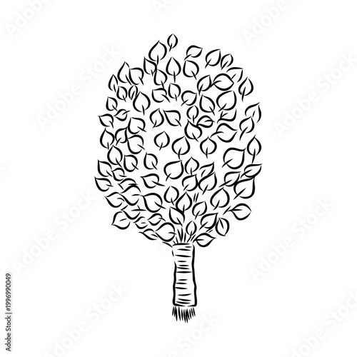 Sauna whisk for steaming — vector sketch