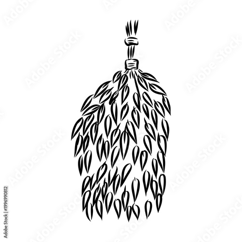 Sauna whisk for steaming — vector sketch
