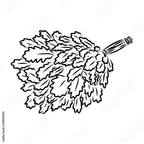 Sauna whisk for steaming — vector sketch