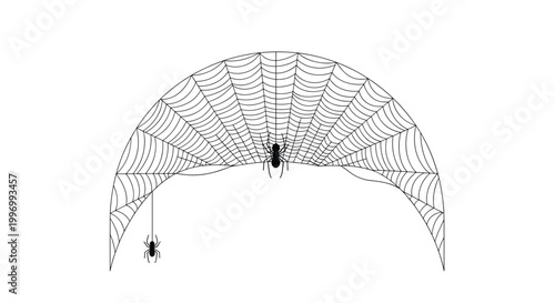 Intricate spiderweb forming a semi-circle with two black spiders, one hanging by a thread and one in the center on white.