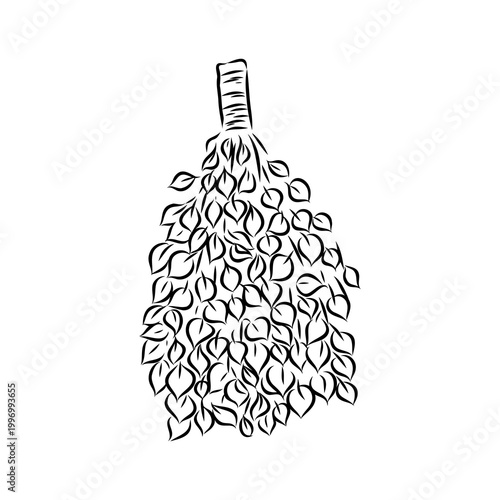 Sauna whisk for steaming — vector sketch