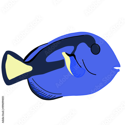 Vibrant digital illustration of a Blue Tang fish (Paracanthurus hepatus) with its iconic royal blue body, black palette markings, and yellow tail, isolated on a white background.