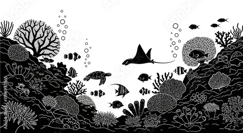 Black and white coral reef scene.
