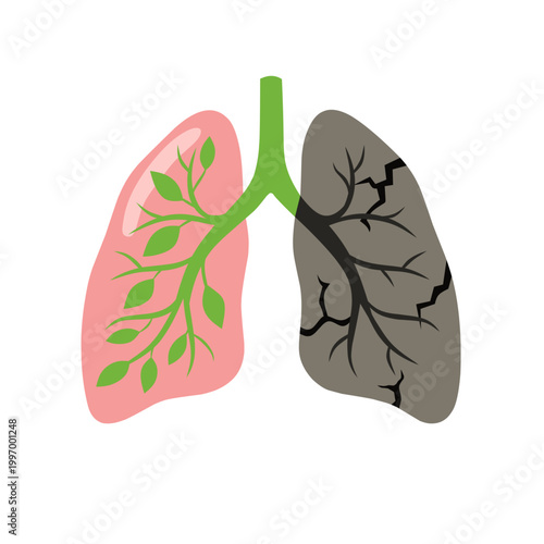 Lungs Health and Damage from Smoke Lung Disease Concept