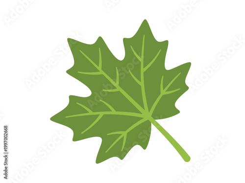 green maple leaf