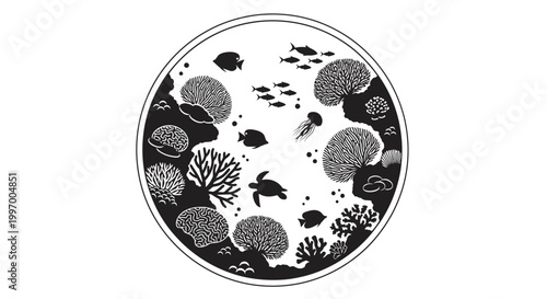 Black and white coral reef fish.
