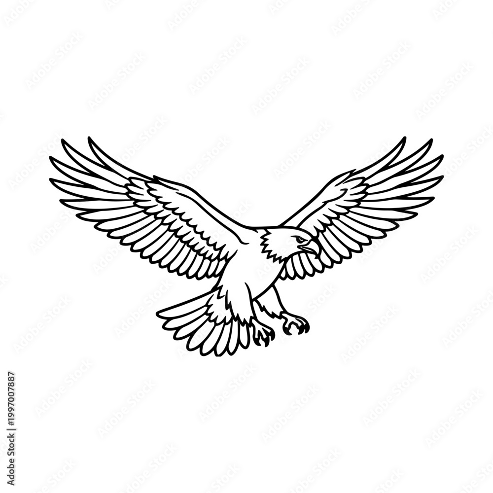 Fototapeta premium outline bald eagle silhouette