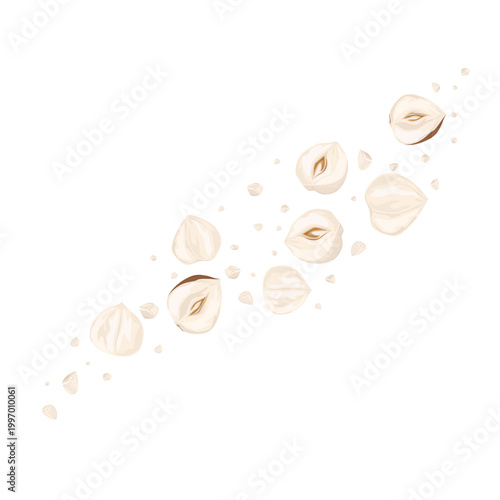 Hazelnut Whole Half Shelled Pieces Nut