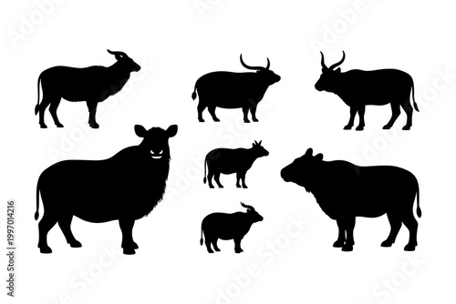 Collection of diverse cattle and buffalo silhouettes on a white background