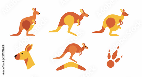Collection of kangaroo illustrations side.